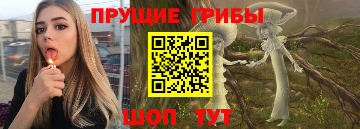 Псилоцибиновые грибы мицелий  где можно купить наркотик  Вход с VPN  Новошахтинск  Галлюциногенные грибы Magic Shrooms 